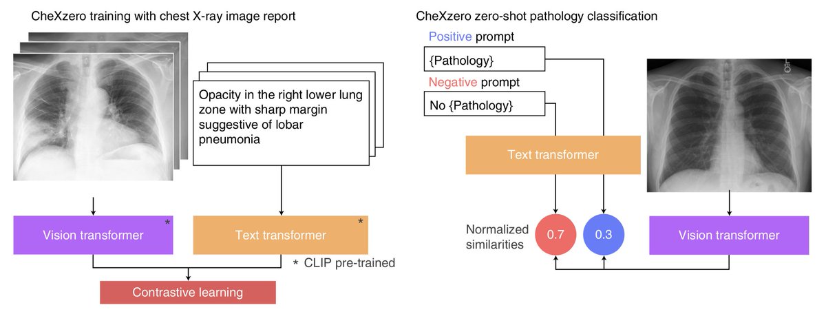 Nature Biomedical Engineering tweet media