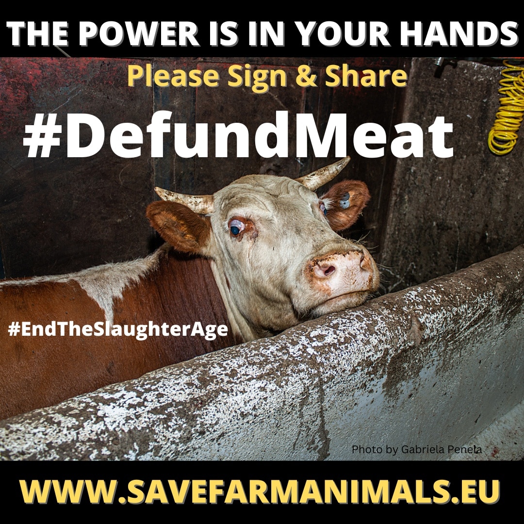 ETSA_Ireland's tweet photo. #DefundMeat #DefundDairy #endtheslaughterage
END SLAUGHTER OF FARMED ANIMALS - Ask the EU to subsidise Ecological Alternatives to Livestock farming.
🙏Sign the 'End the Slaughter Age' European Citizens Initiative at:
https://t.co/MRohbrJzay
Or
@ Link in the Bio🙏 https://t.co/CYZy85CiLX