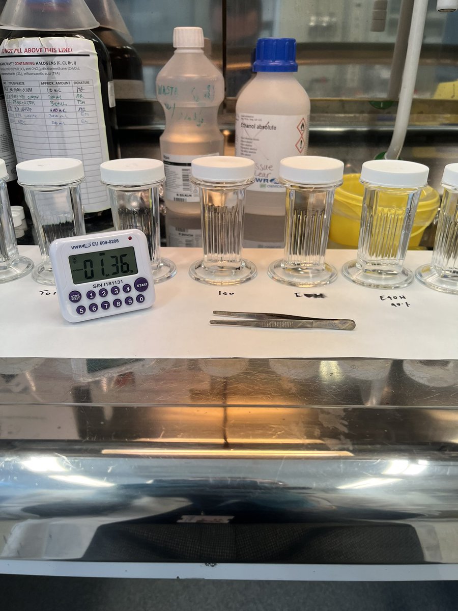 protonsponge87's tweet photo. Finally we started to run 100 patients of ffpe breast cancer by MSI with a modified antigen retrieval protocol. It will be a long journey and hopefully we will get important results to correlate them with relevant clinical histories. #CIMORe #NTNU @AmnaTax40 @Siver1974 #MRcore https://t.co/uOGwHxu8nP