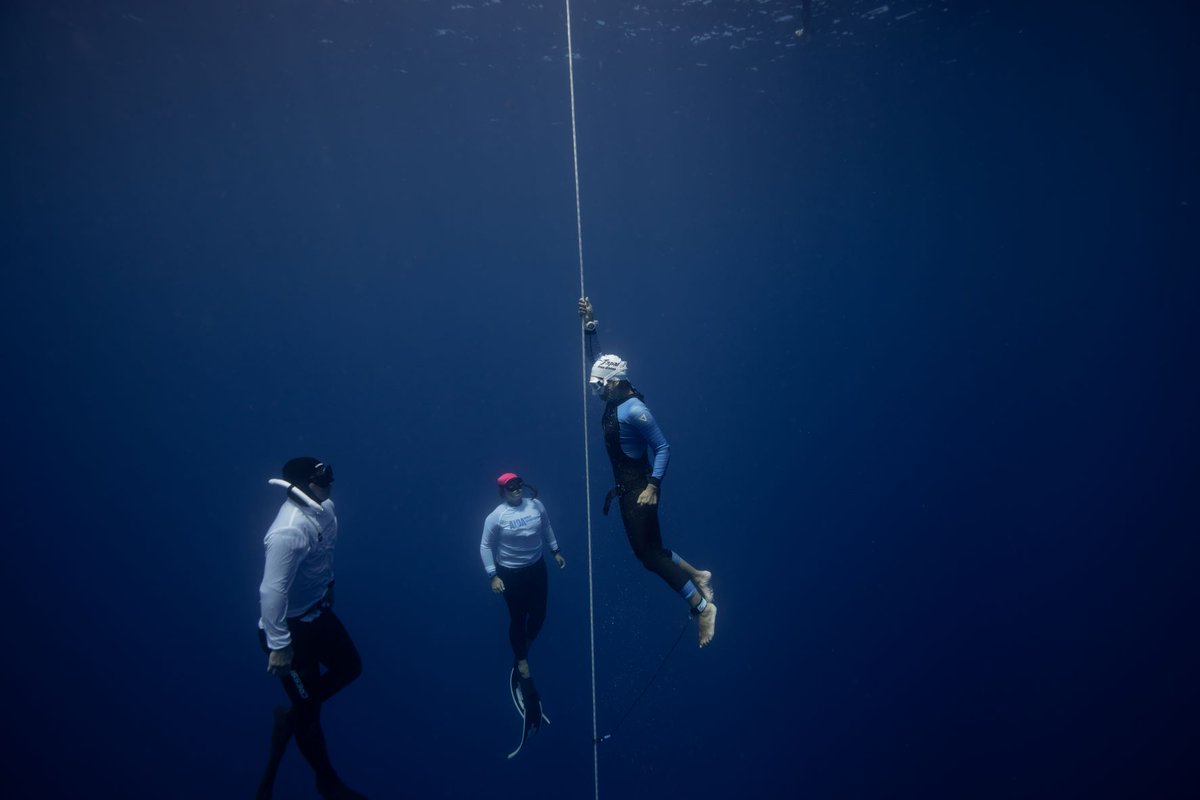 AIDA International tweet media