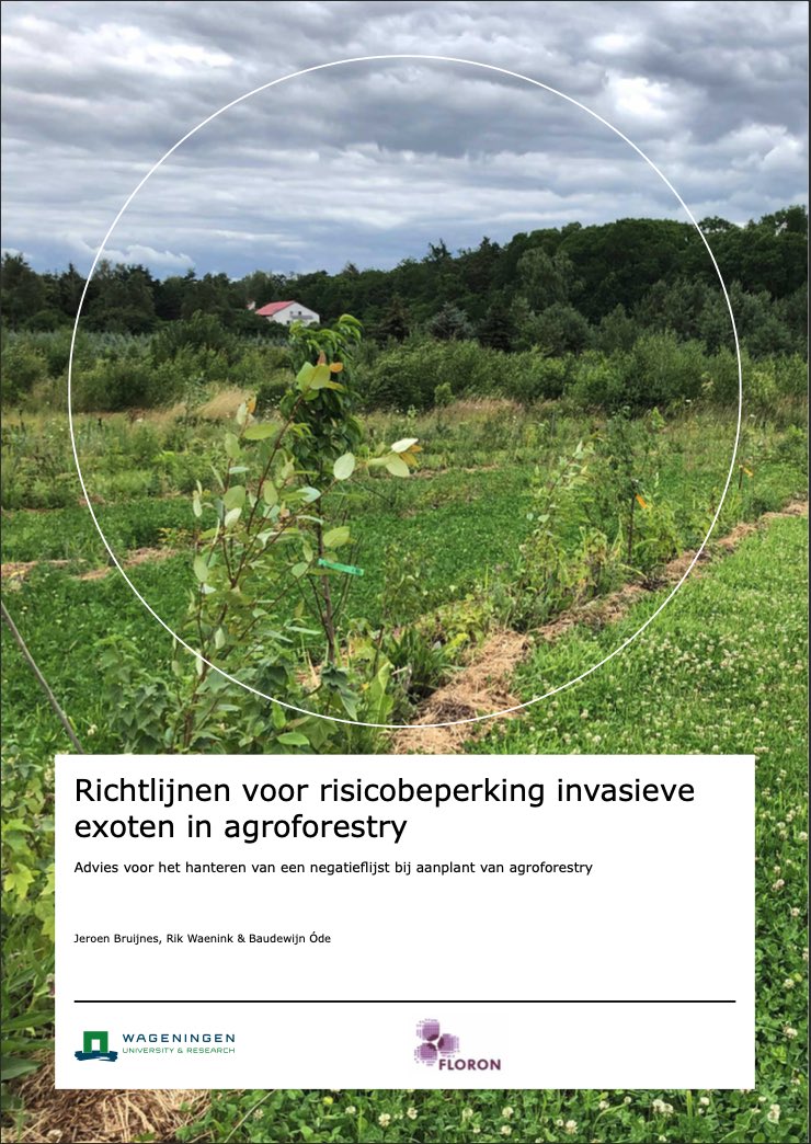 kruitefluit's tweet photo. Het rapport 'Richtlijnen voor risicobeperking invasieve exoten in agroforestry' van collega’s Rik Waenink en Jeroen Bruijnes staat online. Zie https://t.co/OcYsrQEAin. https://t.co/OJD4eWPkAL