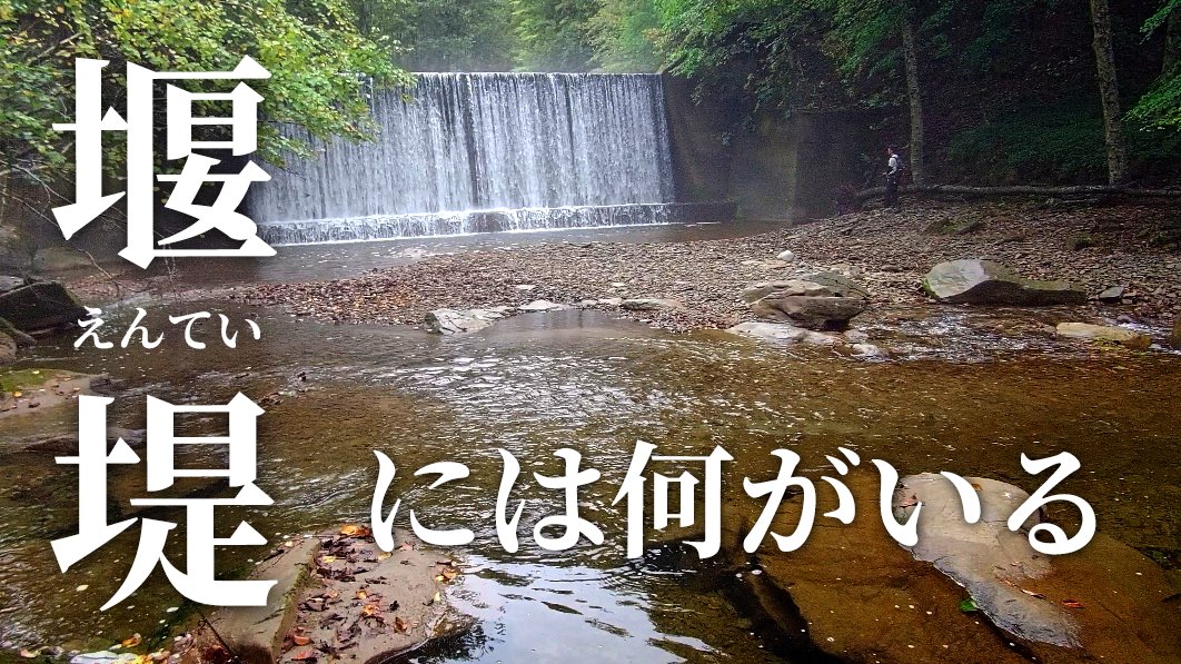 kei_channel_'s tweet photo. 【堰堤をこえるたびに。】

UPしました(⁠^⁠^⁠)
よかったらどーぞっ

チャンネル登録、高評価、コメントおねがいします😳

https://t.co/FwFef60AXa https://t.co/mvsjC07q0P