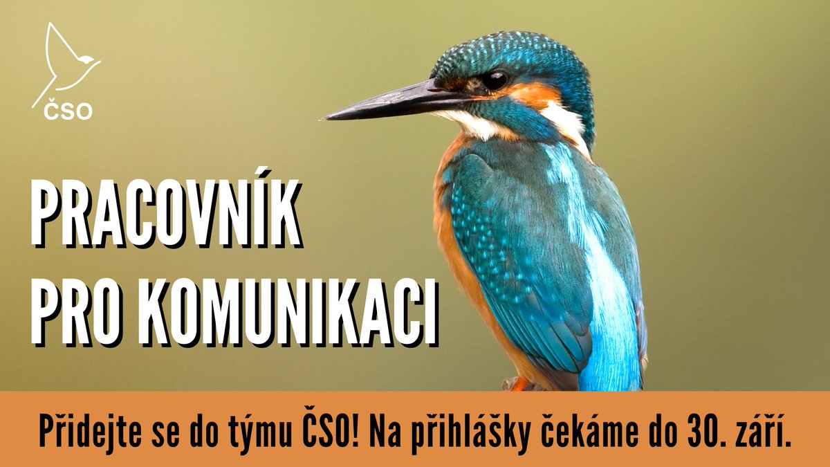 Právě teď máme otevřená 3 výběrová řízení na různorodé pozice:

📲 komunikátor/ka s veřejností a médii birdlife.cz/hledame-pracov… ⌛️ termín do 30. září

💻 programátor/ka birdlife.cz/programator-sp… ⏳ 17. října 

🐦 koordinátor/ka Ptačí hodinky birdlife.cz/koordinator-pt… ⏳ 7. listopadu