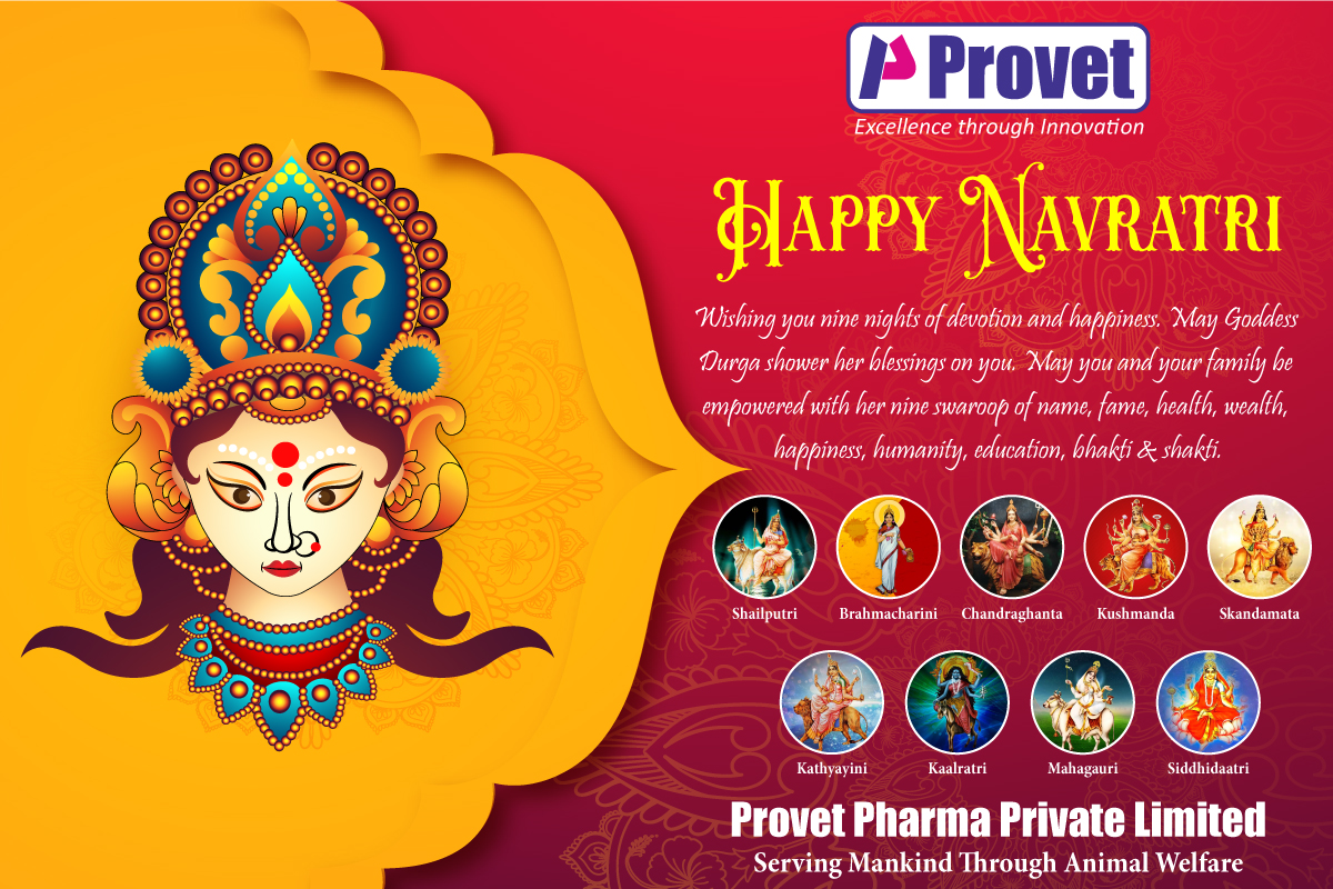 provetppl's tweet photo. PROVET PHARMA wishes everyone 'HAPPY NAVRATRI!'
Wishing you nine nights of devotion and happiness. May Goddess Durga shower her blessings on you.
#Provetpharma #Navratri2022 #Dusshera #MaaDurga #9Dayfestival #DurgaPooja #Nineavatars #Festival #Celebration #Devotion #Blessings https://t.co/MXbZnz1tGX