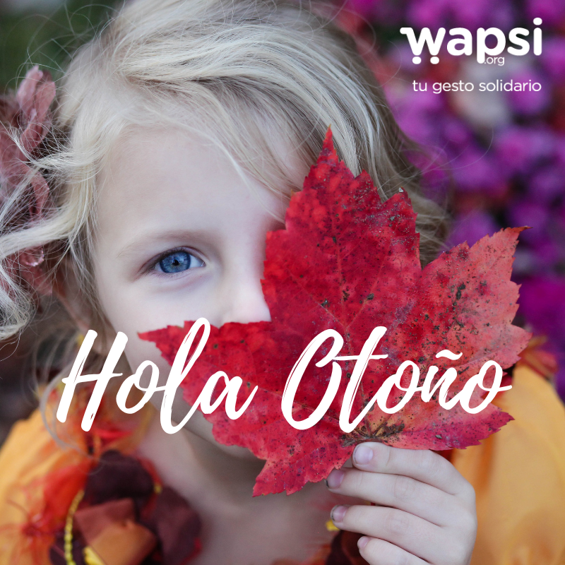 Wapsi 💙 tweet media