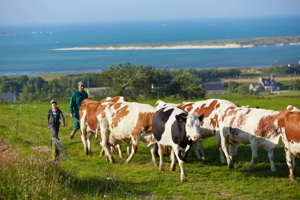 We are committed to reducing our carbon footprint while providing the best quality #dairy ingredients! All our #milk is collected within 100kms of processing plants &amp; we are promoting energy saving practices #sustainability #transparency #FrenchOrigin
buff.ly/3KckK3o