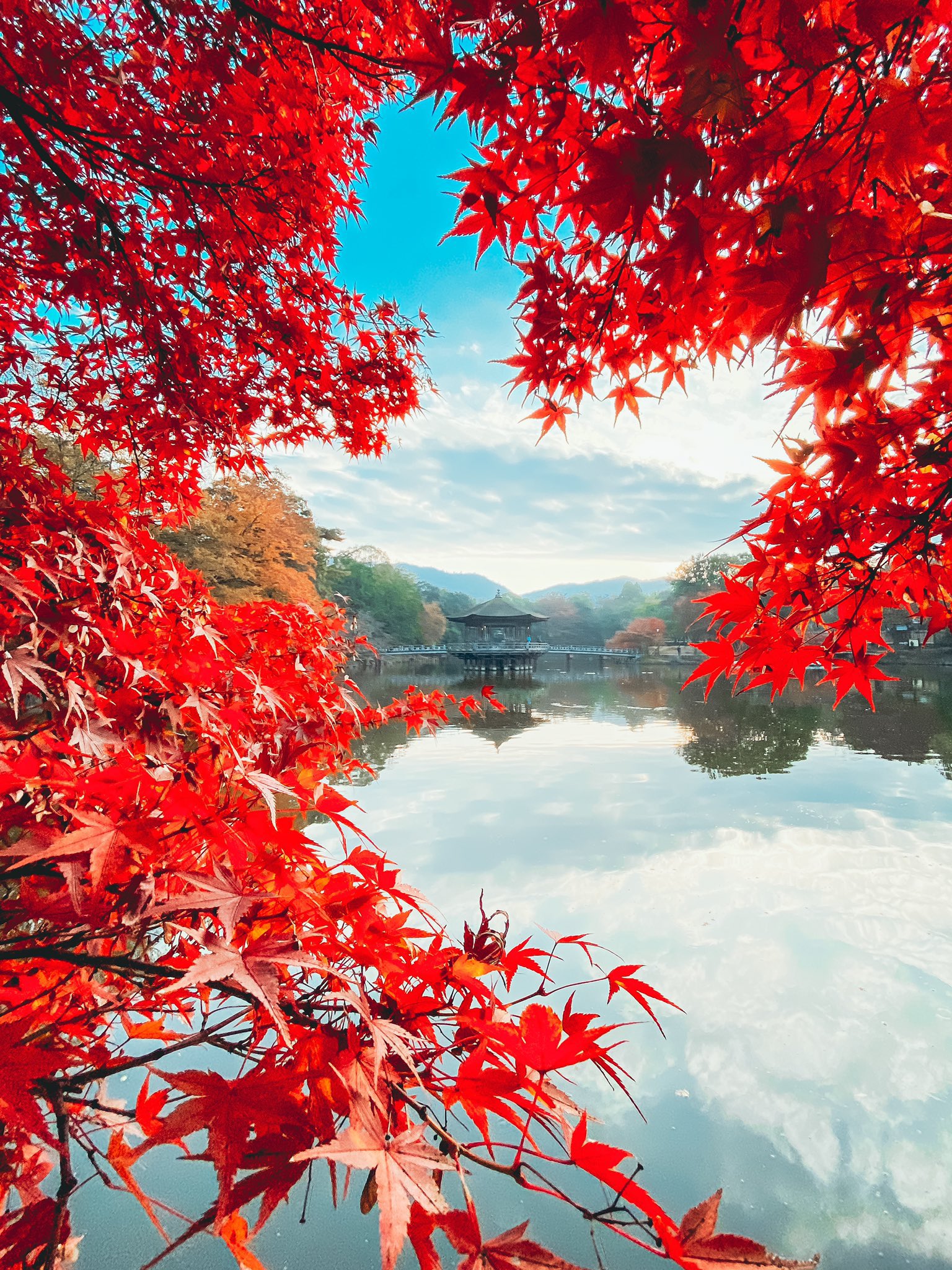 Shota 今年も楽しみな紅葉と浮見堂の景色 T Co Evu4gomxnh Twitter