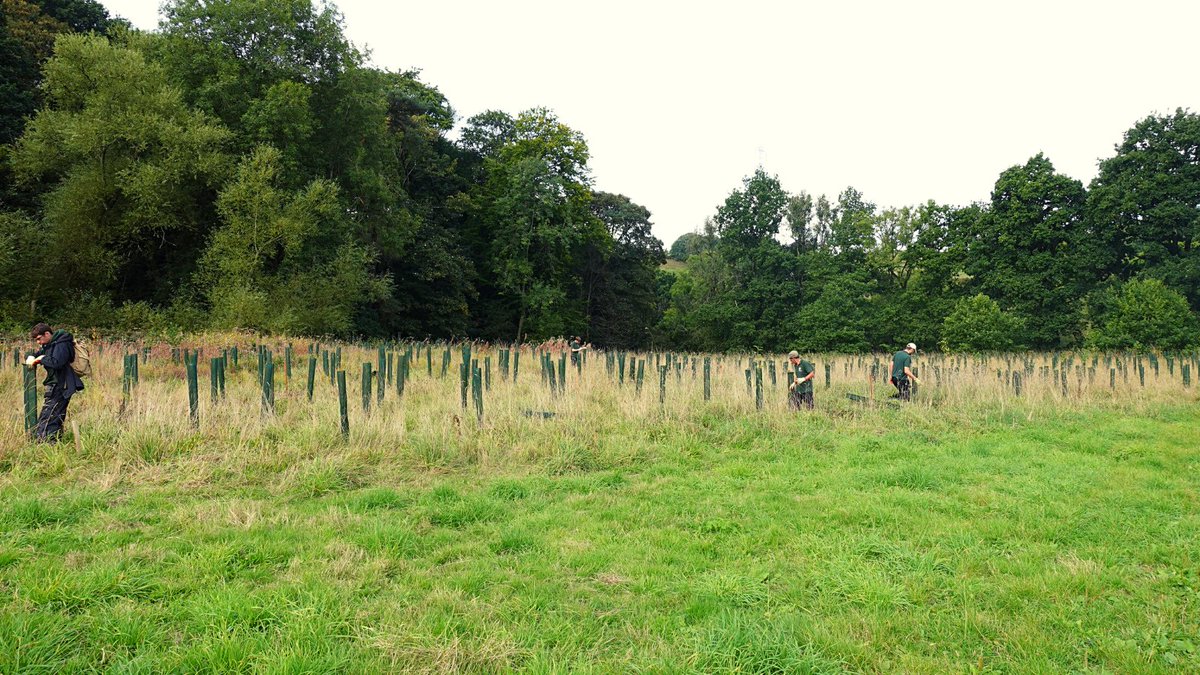 CityofTreesMcr's tweet image. The City of Trees team had a wonderful day out replanting a small portion of the new woodland at Brabyns Park in Stockport on Thursday the 22nd. Despite the rain in the later half of the day, we were able to plant over 200 trees!
#treeplantingseason @OneMcr
