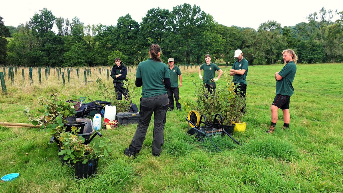 CityofTreesMcr's tweet image. The City of Trees team had a wonderful day out replanting a small portion of the new woodland at Brabyns Park in Stockport on Thursday the 22nd. Despite the rain in the later half of the day, we were able to plant over 200 trees!
#treeplantingseason @OneMcr