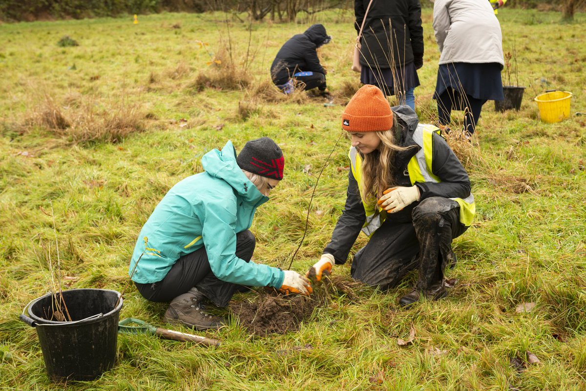 CityofTreesMcr's tweet image. We&apos;re hosting more tree planting events! We have two upcoming 🌳 planting days in Stalybridge on October 7th and 17th. Please visit this link to find out more and sign up: cityoftrees.org.uk/events
#treeplantingseason @StalyTownTeam @MyTamesideUK