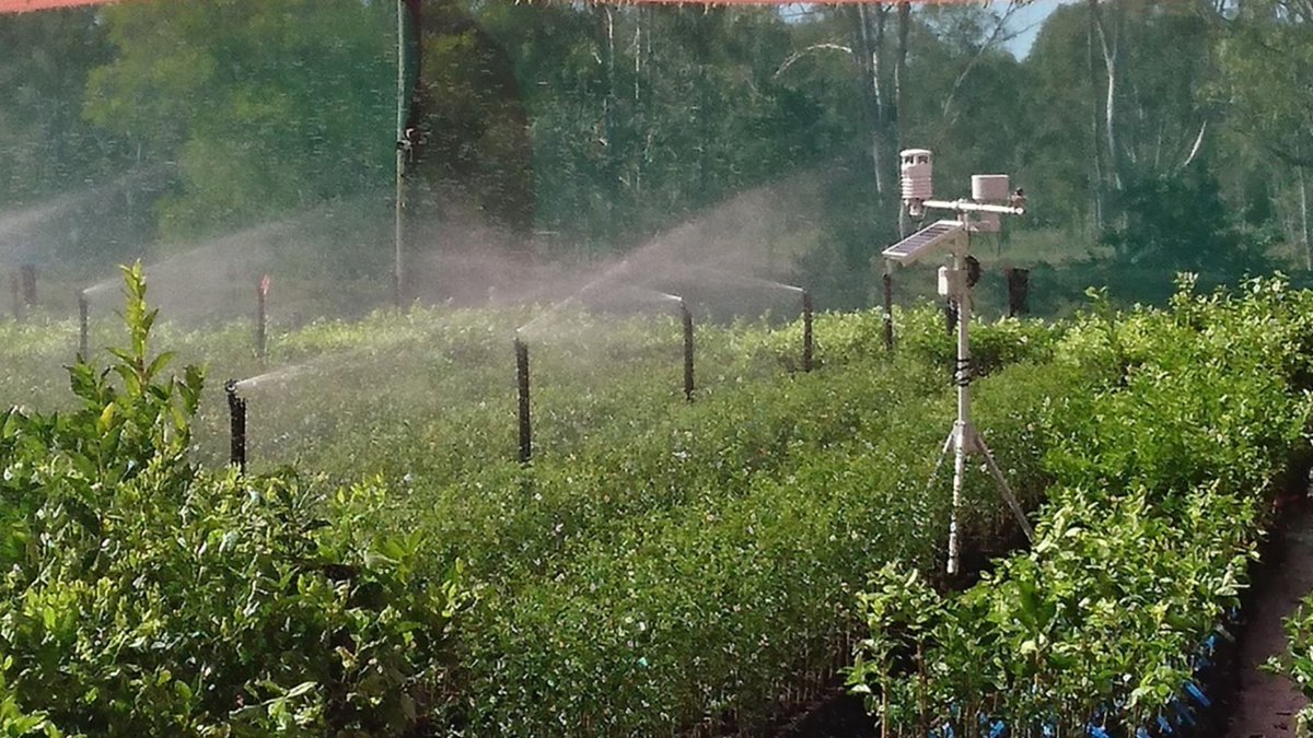 Greenlife Industry Australia (@greenlife_au) on Twitter photo Do you want to learn more about new environmentally friendly on-farm practices and technologies? We are conducting a series of workshops on smart farming technologies, learn more here: bit.ly/3LIMYnb <a href="/Hort_Au/">Hort Innovation</a> #plantnursery #horticulture #gardening Do you want to learn more about new environmentally friendly on-farm practices and technologies? We are conducting a series of workshops on smart farming technologies, learn more here: bit.ly/3LIMYnb <a href="/Hort_Au/">Hort Innovation</a> #plantnursery #horticulture #gardening