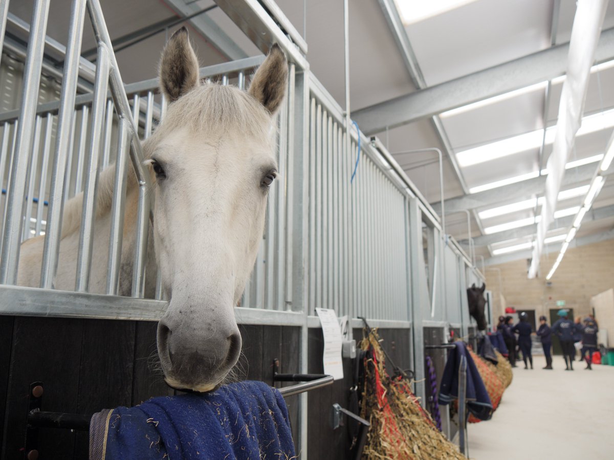 cravencollege's tweet photo. Here's a sneak peek of our new equine centre before our official launch which will be coming up soon!
Want to find out more about our new #CravenArena? Sign up to our mailing list here: https://t.co/lxMHznPPHW
#CravenCollege #CravenEquine #Skipton https://t.co/n9pqWaNxOj