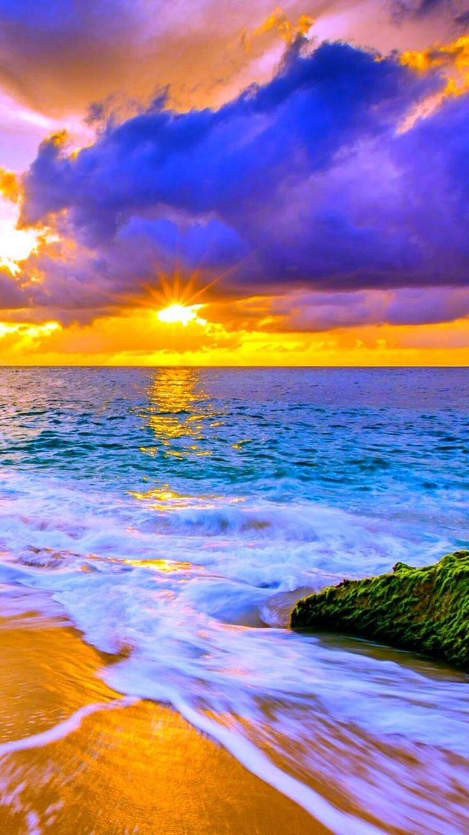 Angel_Stockler's tweet photo. #NaturePhotography 
:¨·.·¨🌿
 `·. .🌺  .⋆*ೄ.•*¨*•.,🌊🌸🧜🏻‍♀️.⋆*ೄ.•*¨*•. https://t.co/2NgXk3kjT9