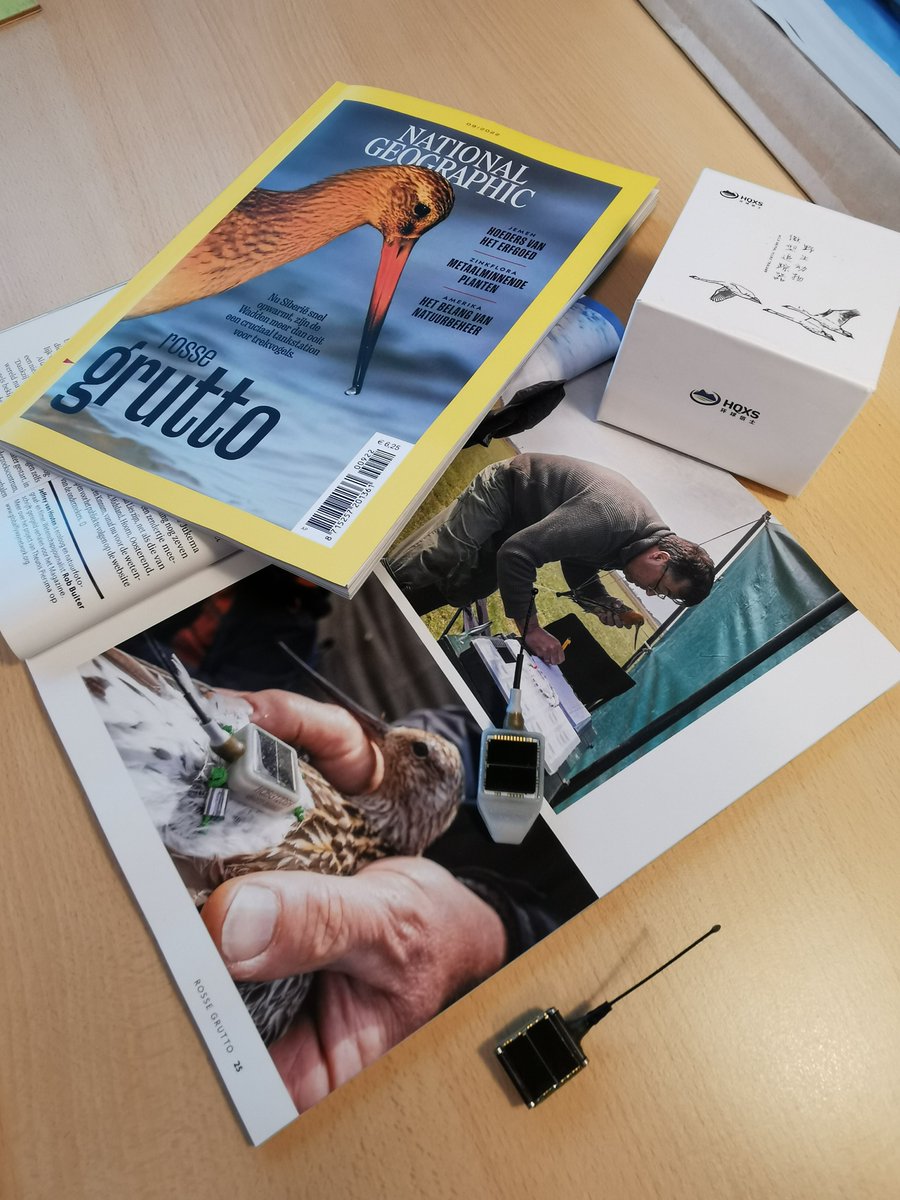 What could be more exciting than to see our GPS/GSM tracker on #NationalGeographic?! This type (HQBG1206) has only about 6 grams and works perfectly on Rosse #Grutto (in dutch), also known as the famous bar-tailed godwit. <a href="/NatGeoNL/">National Geographic</a> @RoelandBom <a href="/GlobalFlyway/">Global Flyway Network</a> #avianmigration