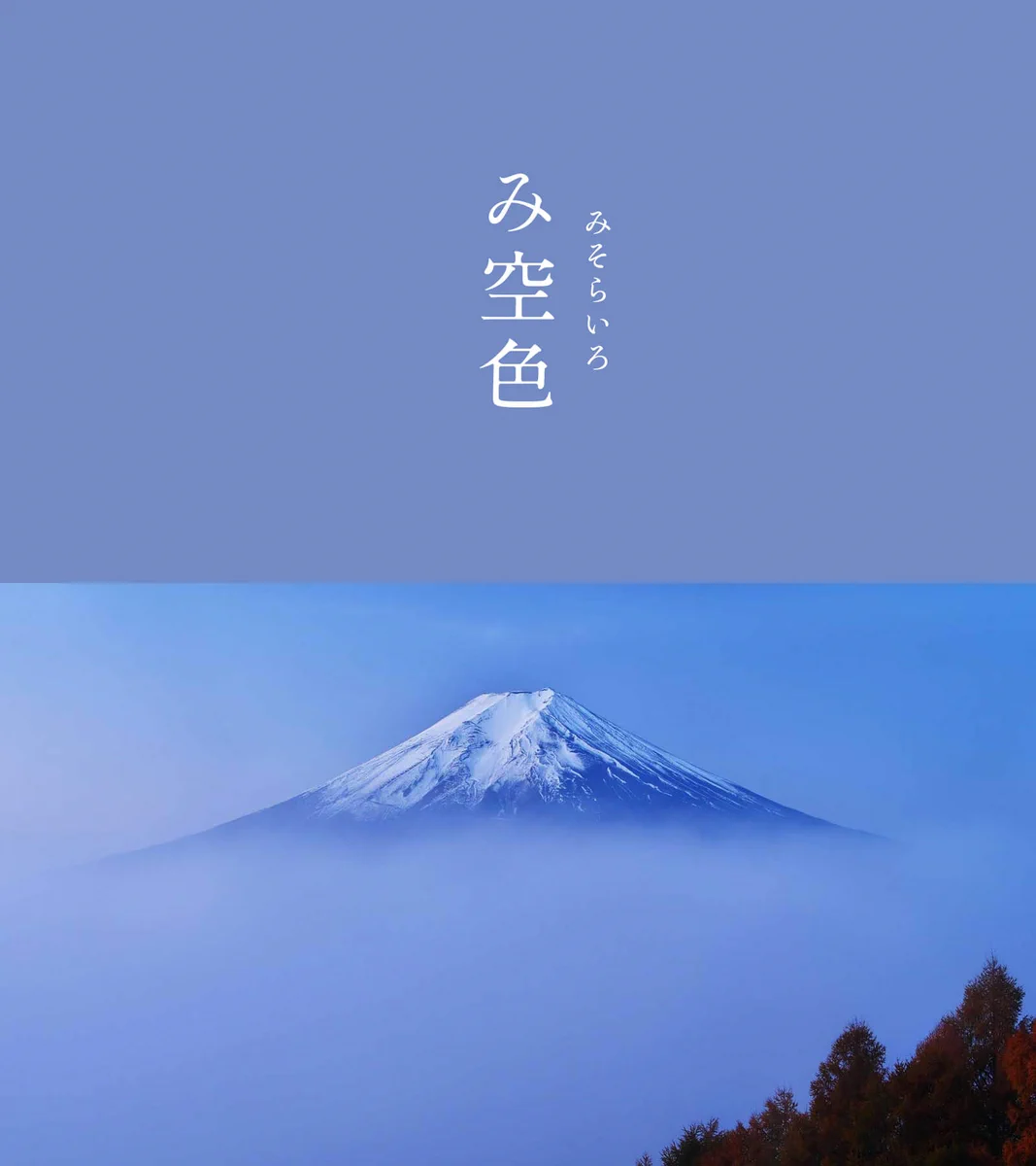 Fdpt8tLUUAICtBF?format=webp&