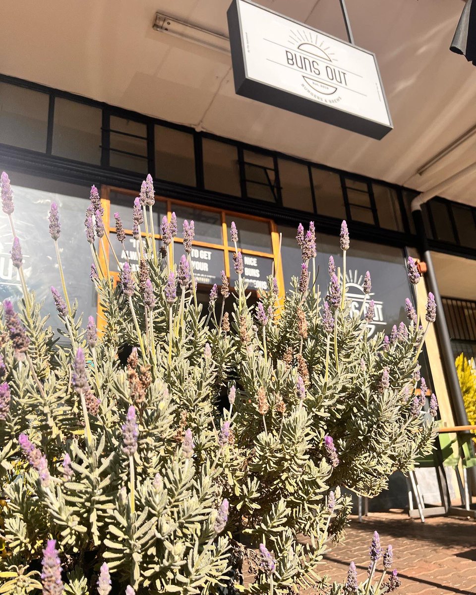 BunsoutL's tweet photo. With heavy heart today we announce the closing of our linden store. Our last day will be on the 9th of October and we will be having a huge send off! See you there 😘 https://t.co/Tvow2KoCRw