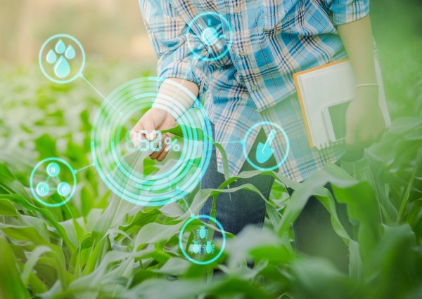 Some interesting predictions here, suggesting rapid growth in the #AgriTech sector 🚀🌱 tinyurl.com/2qce6w2z