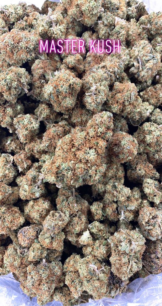 Master kush
