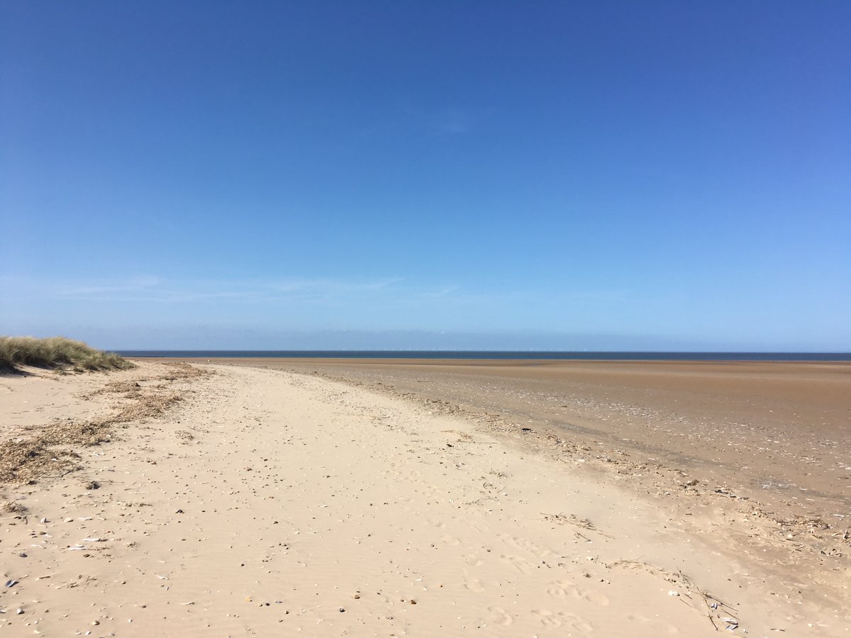 Lizzie Bruce tweet media