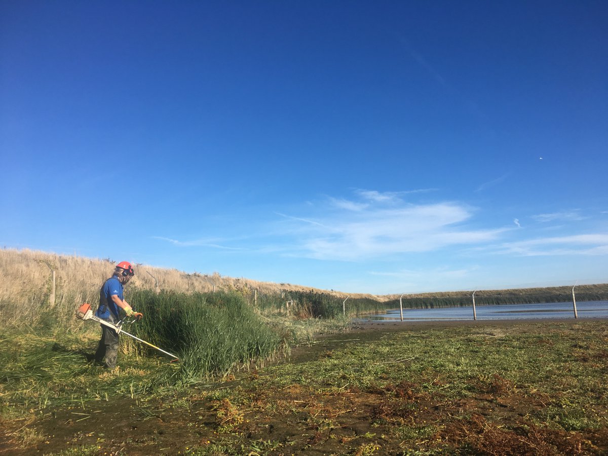 Lizzie Bruce tweet media