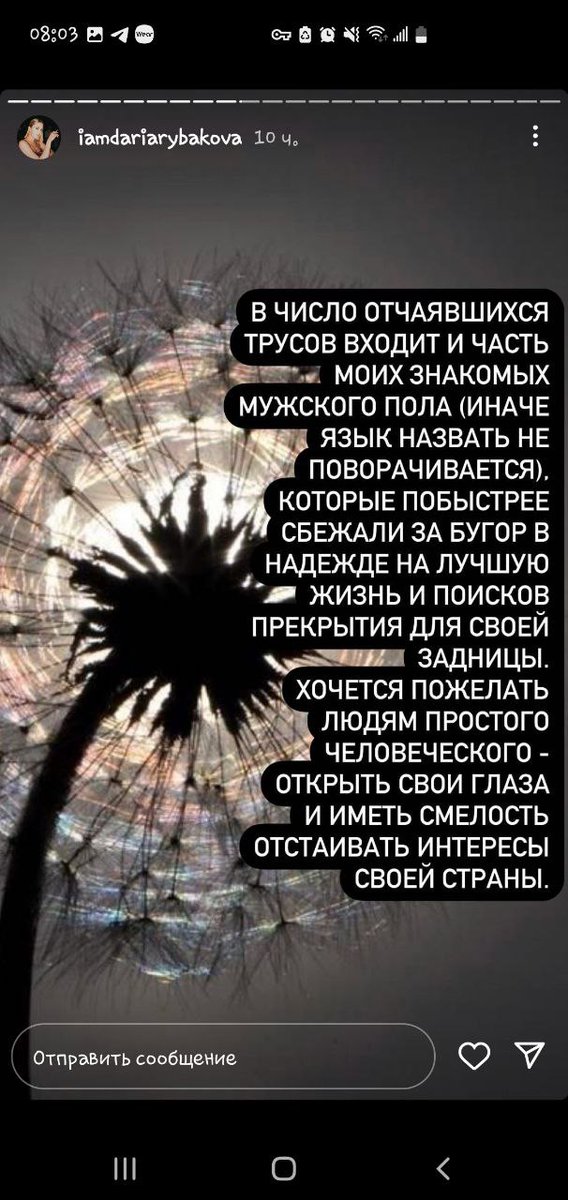 Бухлорд tweet media