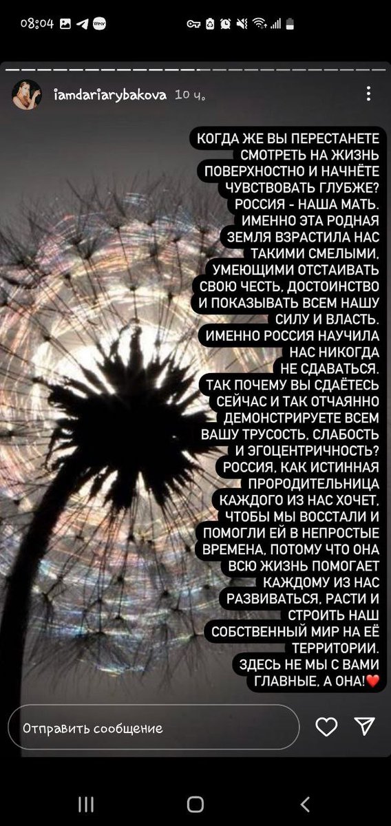 Бухлорд tweet media