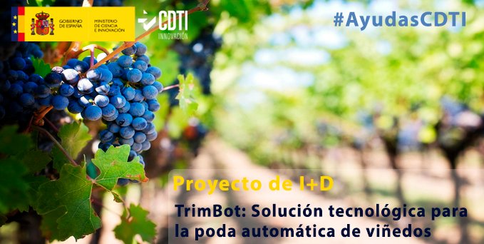 CDTI_innovacion's tweet photo. 🤖Promovemos la #innovación con #AyudasCDTI para proyectos como #TrimBot de @Empresa_Astibot
🔸#Robot guiado por sistemas de visión e #InteligenciaArtificial para la #poda automática de #viñedos👉 https://t.co/ClaxL6CgQy
ℹ️ Proyecto I+D https://t.co/Y7rq55eJBn
#PymeInnovadora https://t.co/dj31XRHBz4