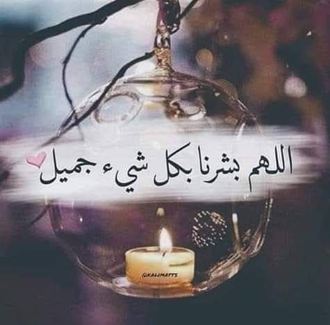 مجدي عصمت tweet media