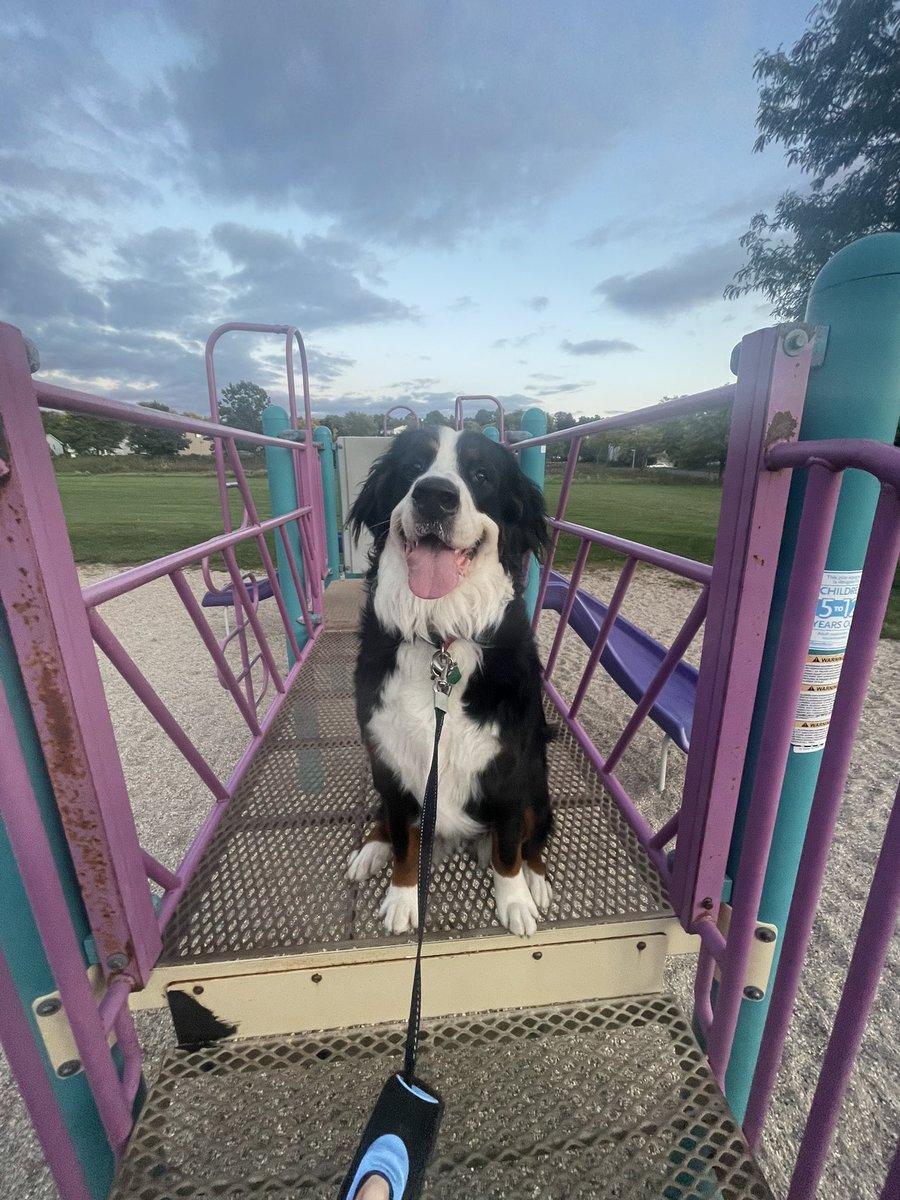 news3leah's tweet photo. Late-night (7 pm) walk with my gal last night 😍 #Bascom https://t.co/kSWjdfwzTZ