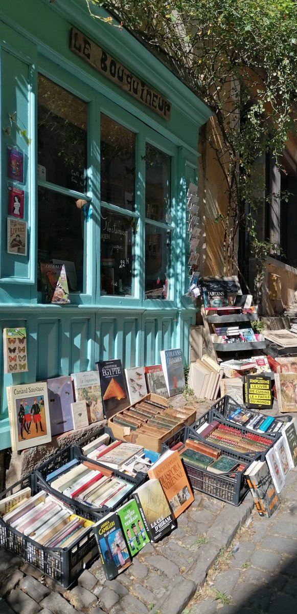 El Espejo de Carmesina 🪞 tweet media