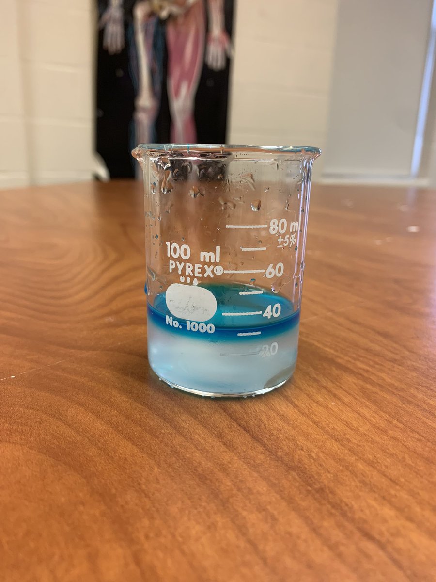 Grade 8 Science Ss were busy this morning conducting an experiment to determine how salinity impacts water density. <a href="/BaccalieuSchool/">Baccalieu Collegiate</a> <a href="/NLESDCA/">NLESD</a>
