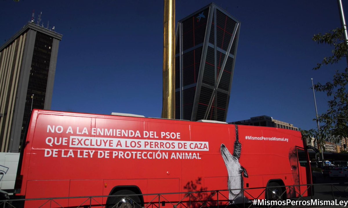 AsociacionADAT's tweet photo. 🔊🔊Lanzamos a la calle *un autocar protesta* contra la enmienda del @Psoe, cansados de que no se nos escuche como protectoras de animales que recogemos los desechos de los cazadores. 

❌Los perros utilizados para la caza no pueden ser excluidos de la Ley de Protección... https://t.co/D65B2jCz52