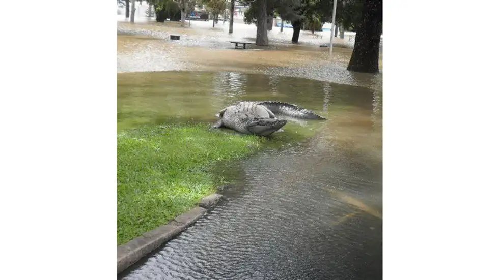 MJVentrice's tweet photo. We are nearing the time when we see a significant hurricane strike across Florida. That means the trolls will come out with their fake hurricane-impact photos. If you see any of these commonly shared images later this week, please do not share. https://t.co/yhdRqXP5Cm