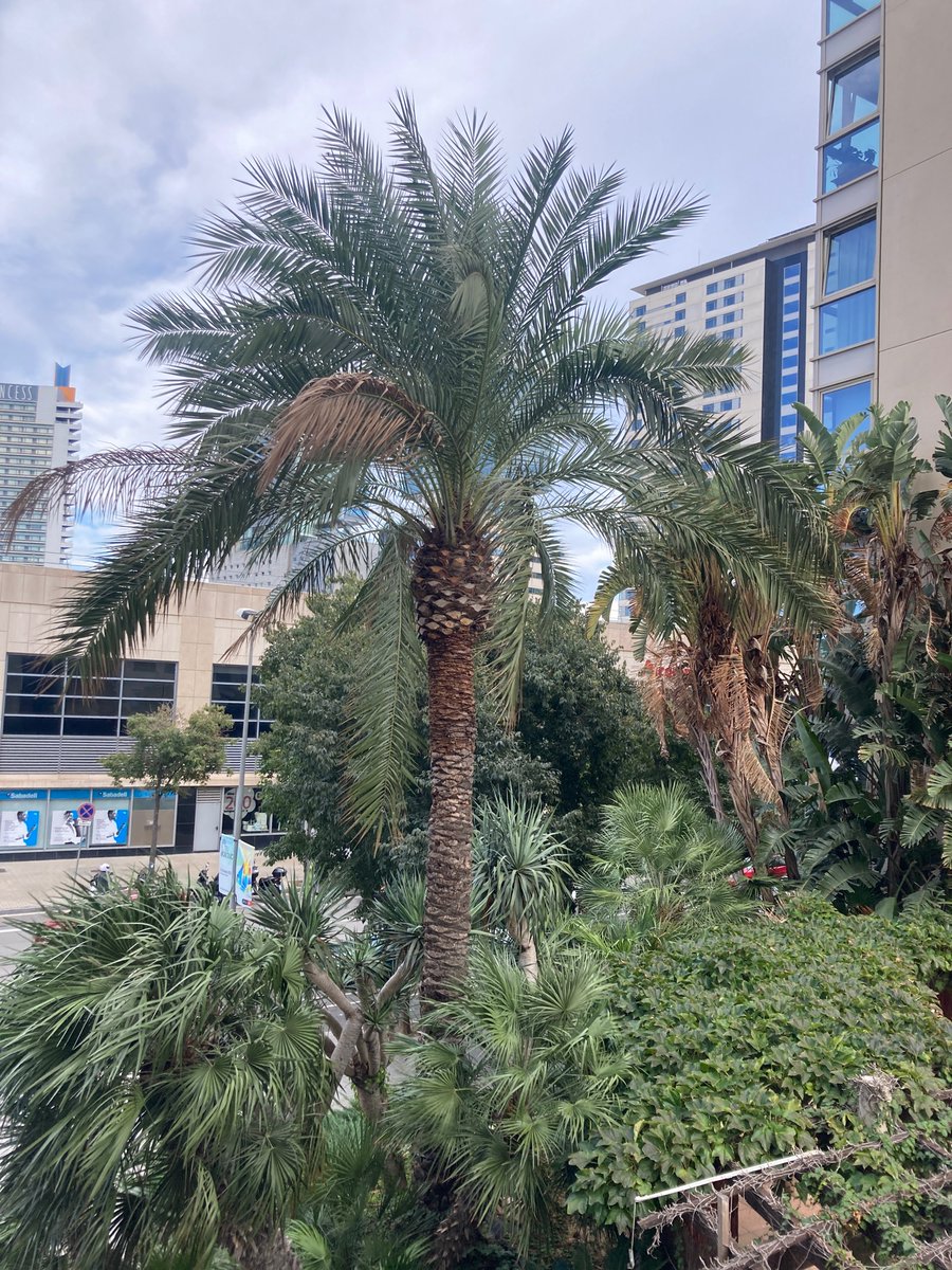 Michaela Patton (she/her) tweet media