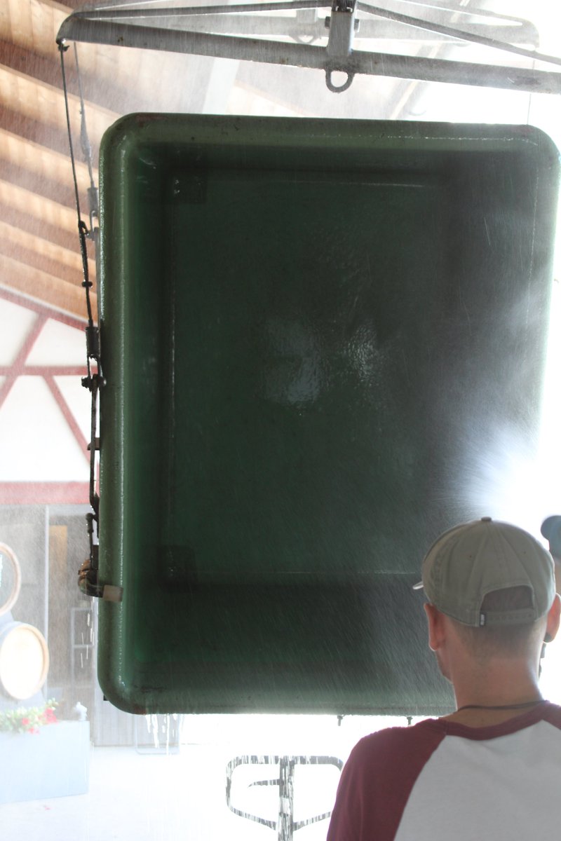 Wimmet 2022:
Nachdem die Trauben geerntet wurden, werden sie auf das Weingut nach Berneck gebracht und unmittelbar weiterverarbeitet. 
Nach dem wägen werden die Trauben "abgebeert", ehe sie in der Presse landen. Dort wird der goldige Saft gewonnen der direkt in den Keller fliesst