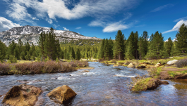 awwa's tweet photo. AWWA salutes @TMWA as a #SourceWaterChampion for receiving AWWA’s 2022 Exemplary Source Water Protection Award. Learn more: https://t.co/6YlP8RQ2J5 #ProtectheSource #SourceWaterProtectionWeek https://t.co/9m2ykC3n8q
