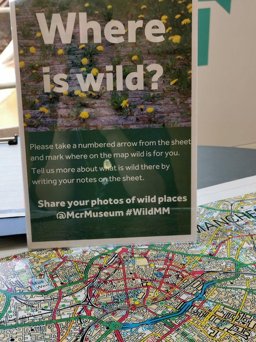 Aristolochia's tweet photo. Talking wild with visitors to the #CastlefieldViaduct. We've heard tales of deer on golf courses, of parrots in parks, of beetles in fence posts and a really lovely number of reports of hedgehogs visiting people's gardens. #WildMM #GreatBigGreenWeek https://t.co/S6MpaeB6nX