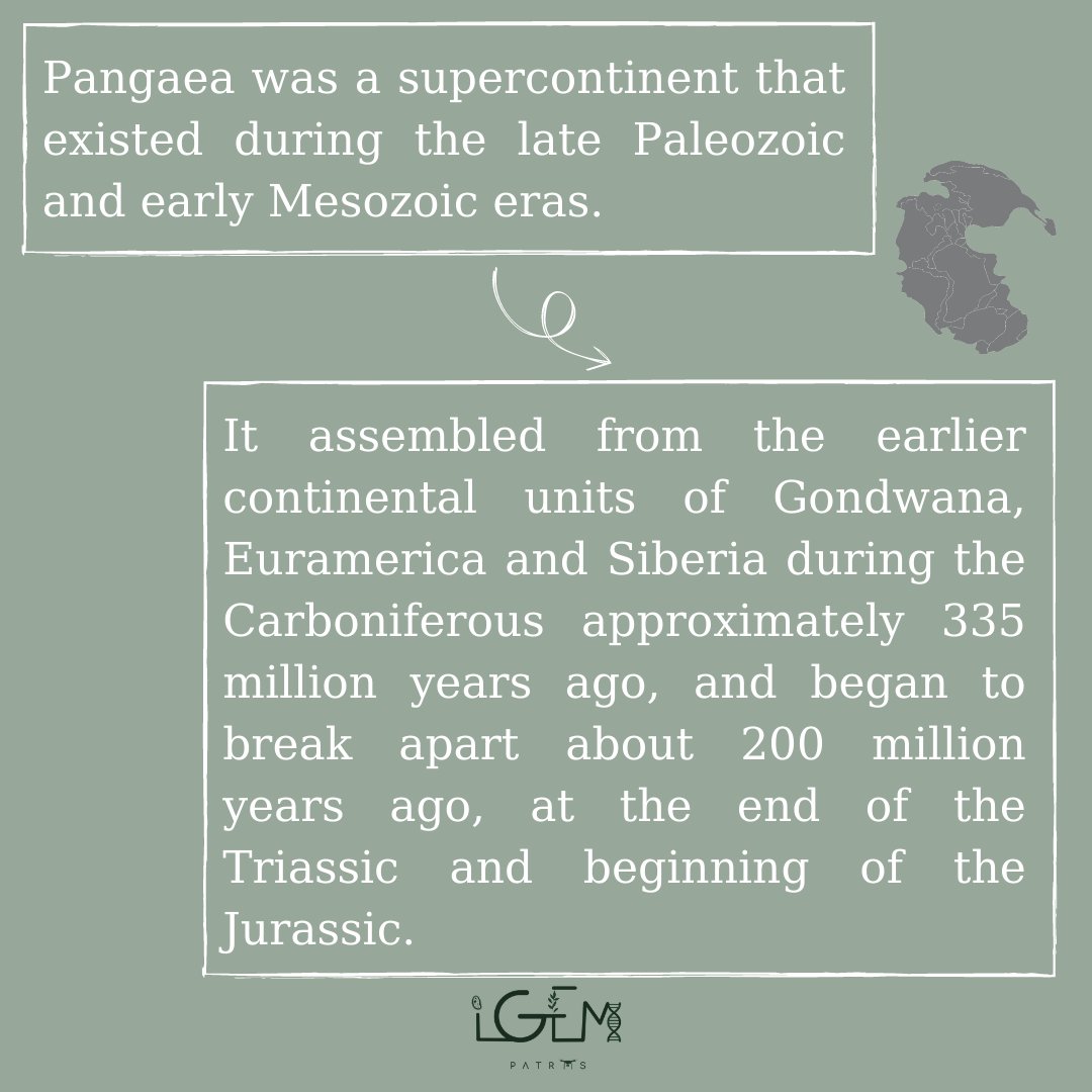 igem_patras's tweet photo. Wondering how we came up with our projects name?🤔

Let's find out!💥

#igempatras2022 #PAGGAIA https://t.co/cBddXsefGS