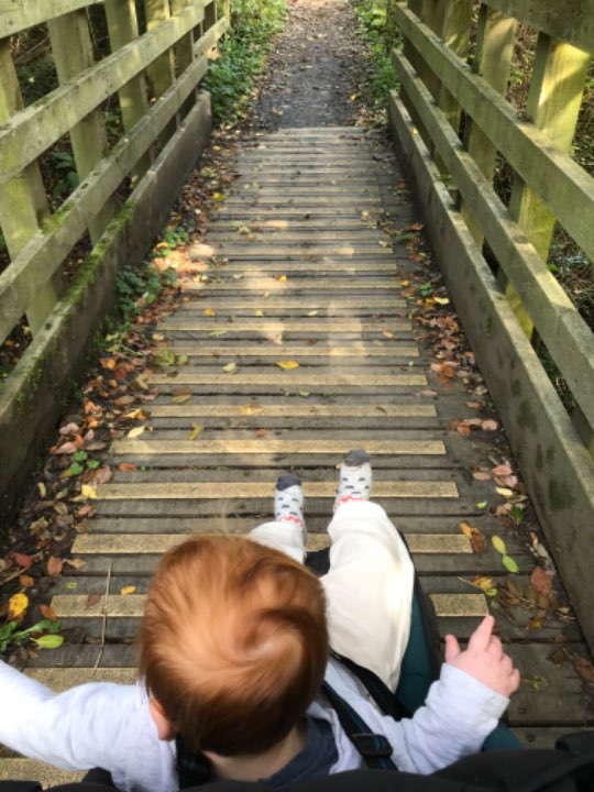 Virtual Nature School 🏴󠁧󠁢󠁳󠁣󠁴󠁿 tweet media