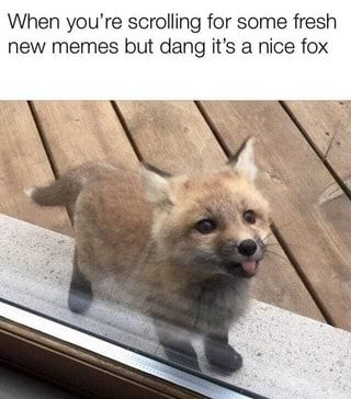 WholesomeMeme's tweet photo. https://t.co/wdsf52HitH