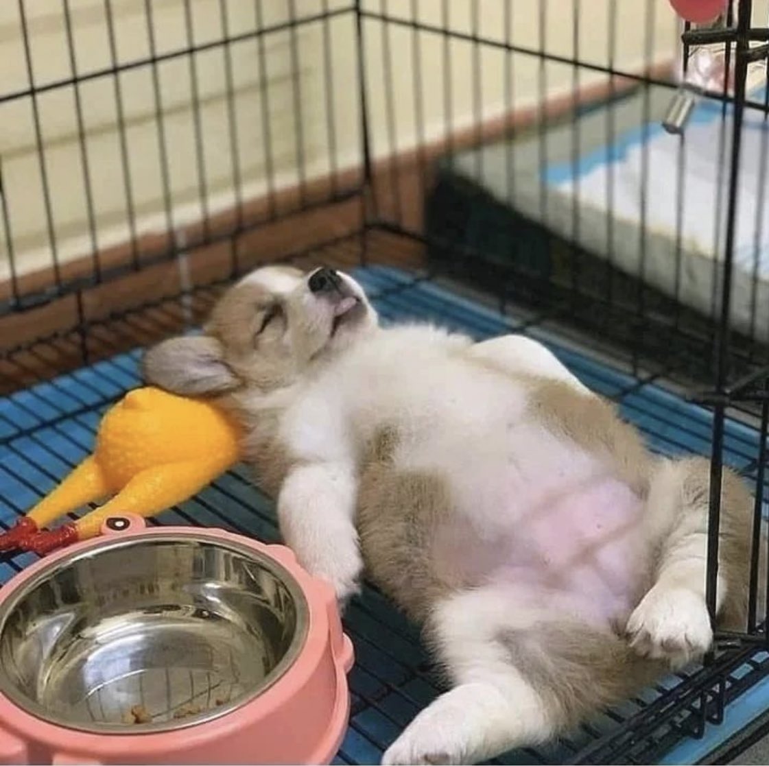 Knocked out