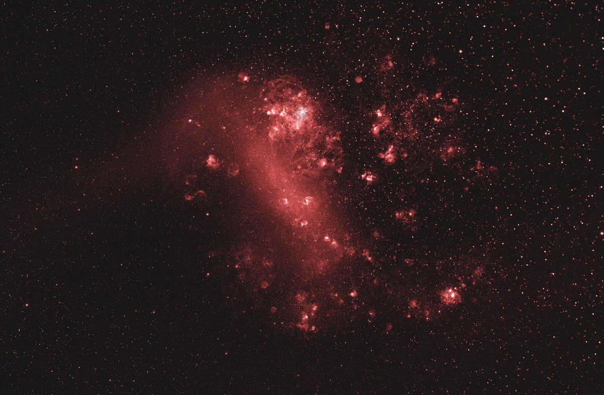astroholgi's tweet photo. #Astrophotography 
#xipteras
Die Große Magelansche Wolke (LMC)
Tivoli Mai 2022
Kombination aus 18x300 sec mit Canon 6D MKII
und 6x 900 sec. Ha und 6x 900 sec. OIII mit
Starlight Express SX36 https://t.co/ni2zUDfNJ2
