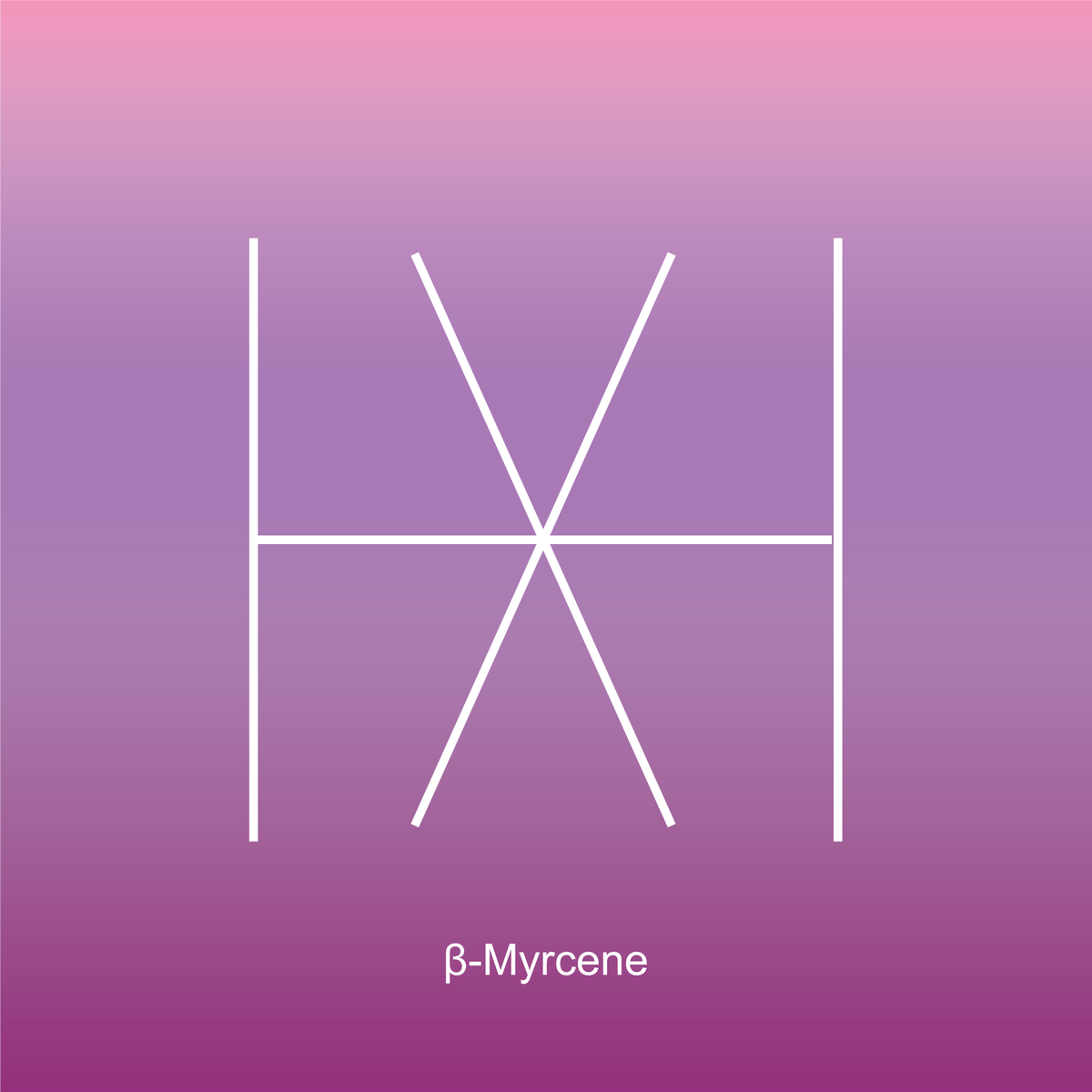 _THCDesign's tweet image. The next terpene for #TerpTuesday is Myrcene. Myrcene is often found in Indica-dominant cultivars and has an earthy, spicy, clove odor and flavor and offers sedative, anti-anxiety, and anti-inflammatory effects. #thcdesign #terpene #mycene