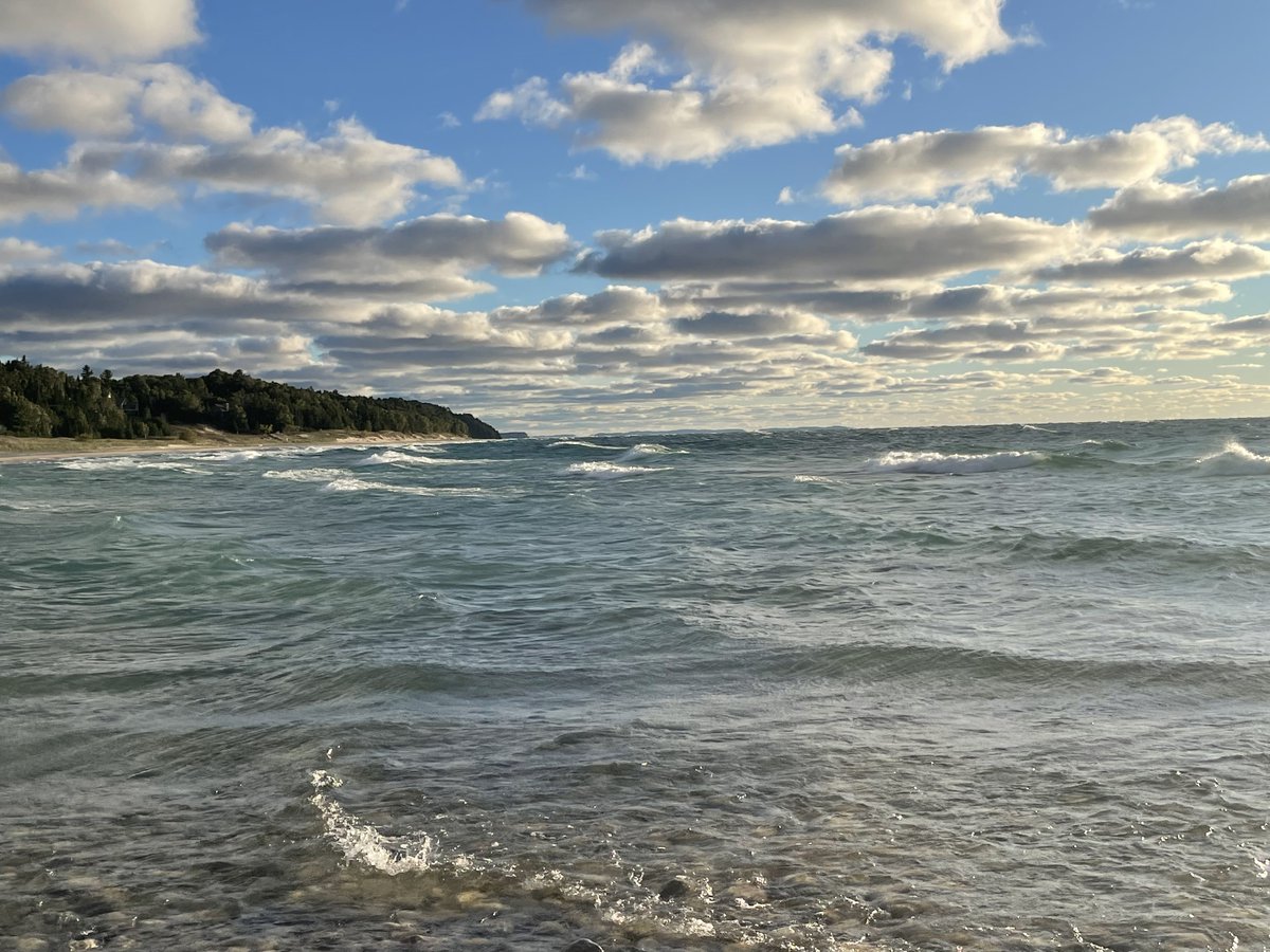 Barbara Stark-Nemon tweet media