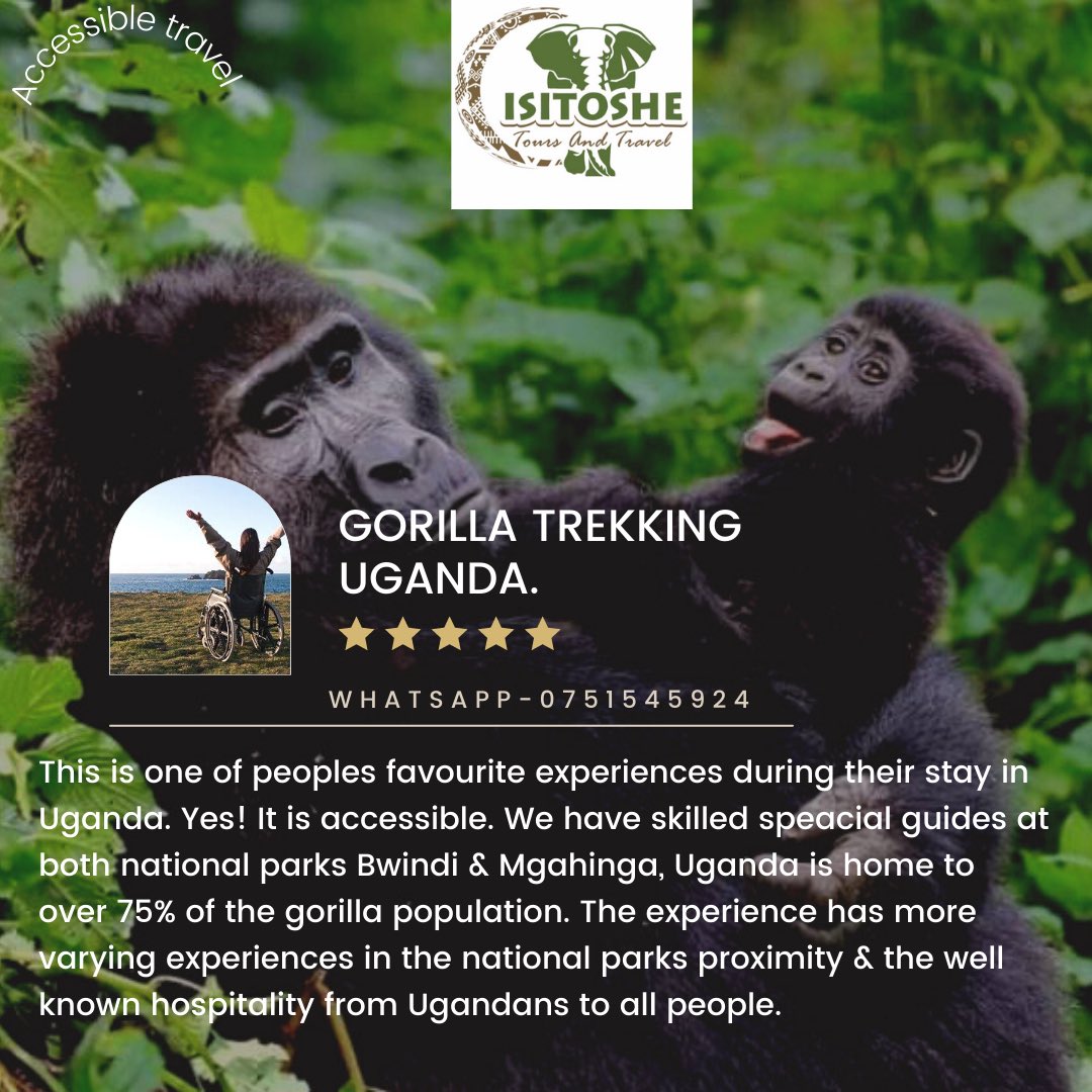Yes! Bwindi is accessible to people living disability and impairement. We are ready to host you. #accessibleuganda #accessibility #inclusivetravel #ExploreUganda