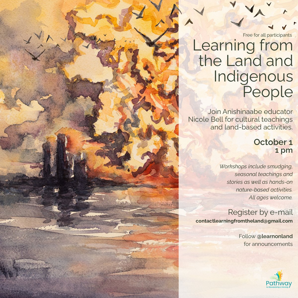 🍁🍂🌻The firsts fall session of 'Learning From the Land' is happening this Saturday at 1pm. Register by e-mail:
 contactlearningfromtheland@gmail.com