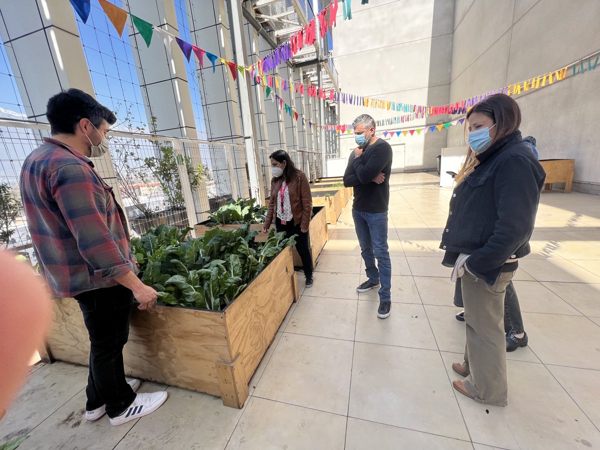 MallplazaCL's tweet photo. ¿Conoces el #huerto de #MallplazaEgaña?🥦🥬♻️
Como parte del proyecto #Plaza0, se realizó la 1ra cosecha de acelgas, lechugas y romero, con entrega a #BiteMeBurger
Los residuos orgánicos generados en el patio de comidas se transforman en un líquido usado para el riego del huerto. https://t.co/d8j8vtjPmw
