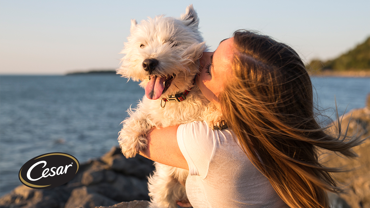 You never need an excuse for these hugs! 
#CESARLoveThemBack #DogHugs