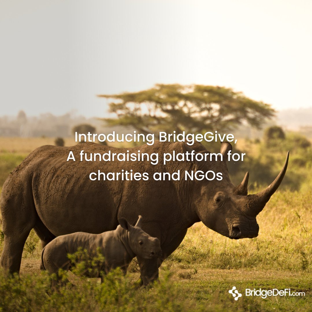bridge_defi's tweet image. Our NFT platform is the perfect option for good causes to increase their exposure and donations.
BridgeGive is a new way to raise money, powered by the blockchain.
