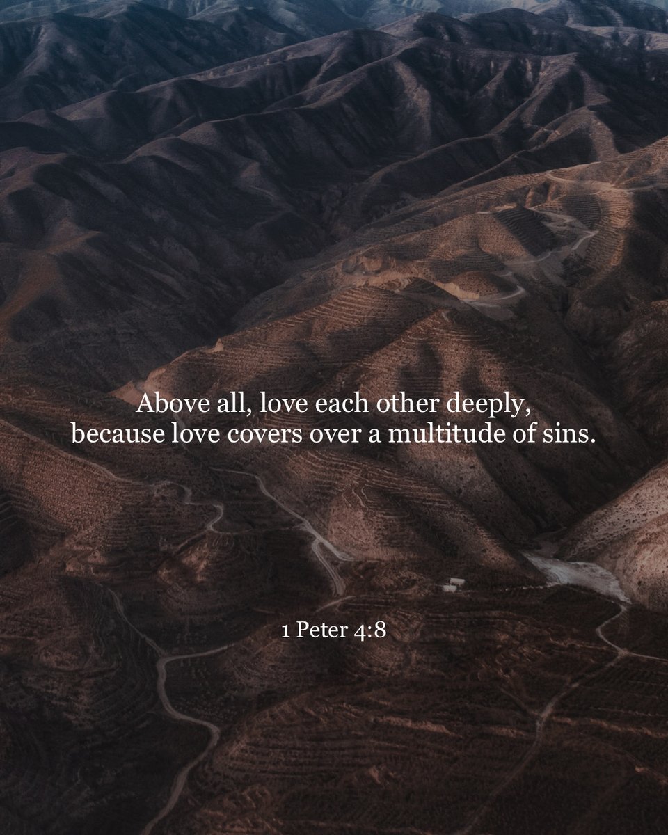 YouVersion Bible App tweet media